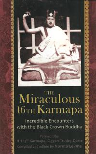 Miraculous 16th Karmapa 001